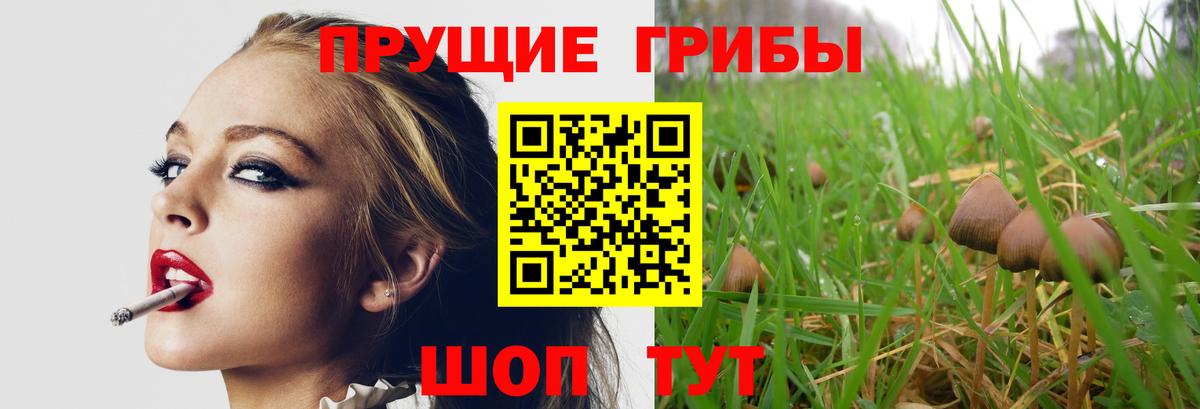 Псилоцибиновые грибы ЛСД  Вход с VPN  Кропоткин 